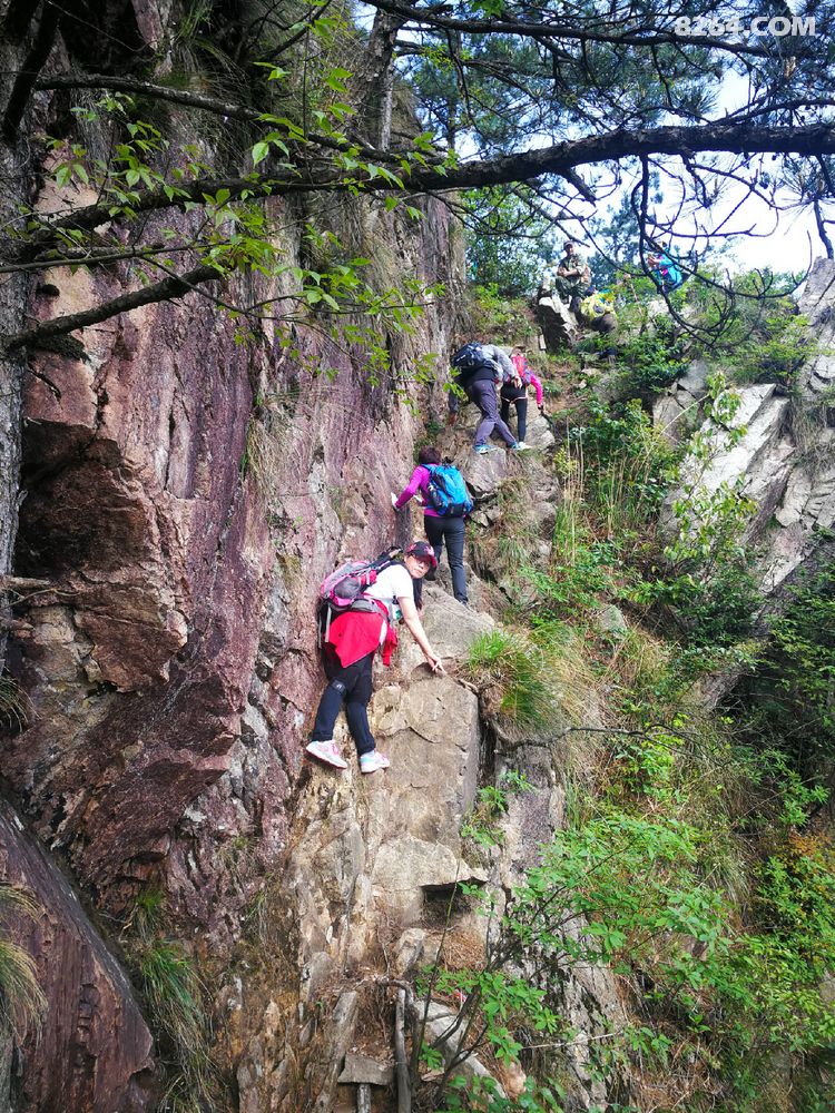 丽水野人户外俱乐部绩溪猴子尖---饭甑尖穿越