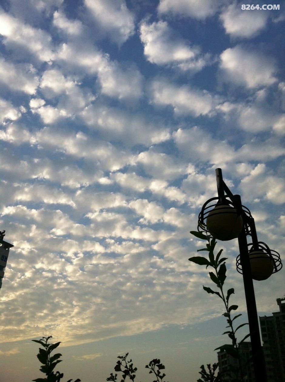 野外求生漫谈之二十二--天上的各种云及其代表