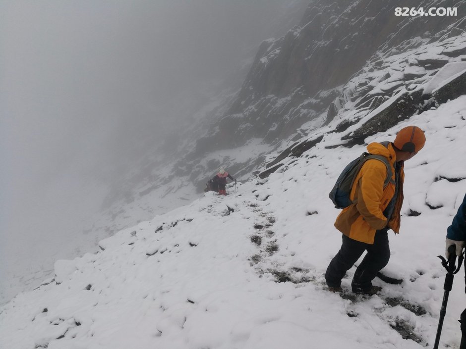伴随着满山的高山杜鹃 帅哥美女 一起登顶大峰