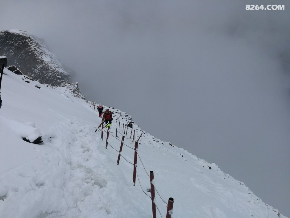伴随着满山的高山杜鹃 帅哥美女 一起登顶大峰