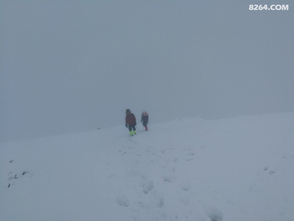 伴随着满山的高山杜鹃 帅哥美女 一起登顶大峰