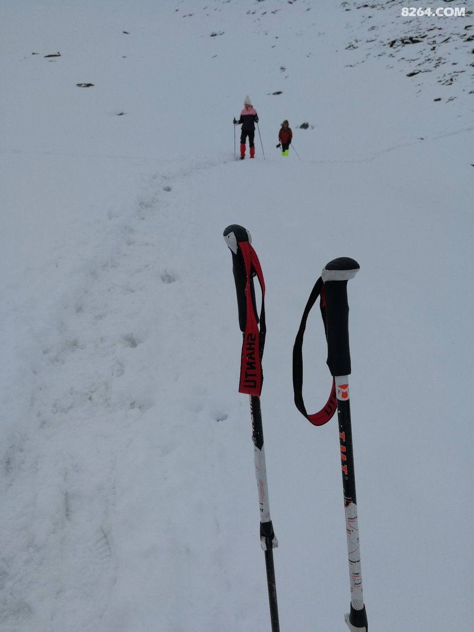 伴随着满山的高山杜鹃 帅哥美女 一起登顶大峰