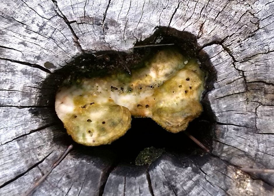 一个人的休闲露营生活(香港,澳门,珠海三地露营