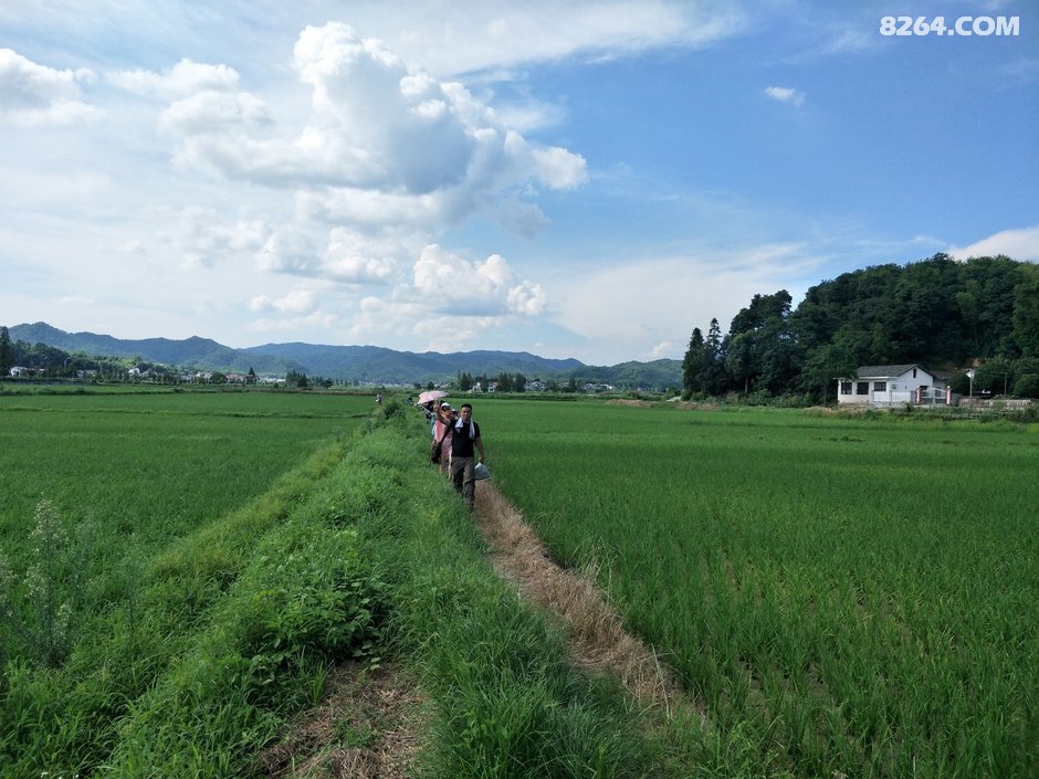 长沙中老年人周末郊游线路等高线图集