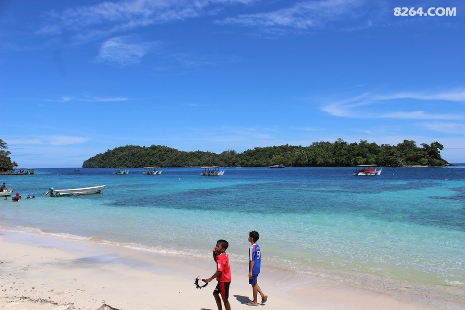 超详细东南亚潜水指南!解锁便宜又好玩的潜水
