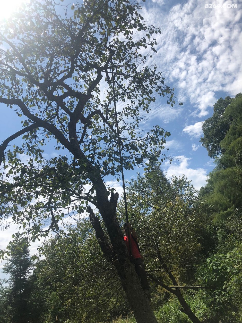 长沙中老年人周末郊游线路等高线图集