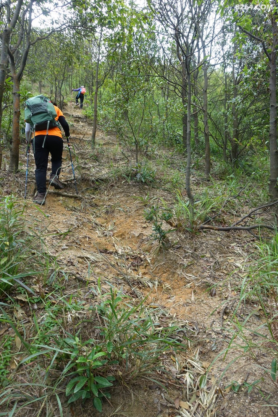 20180923:台风山竹过后第一周,五桂山拉练赏
