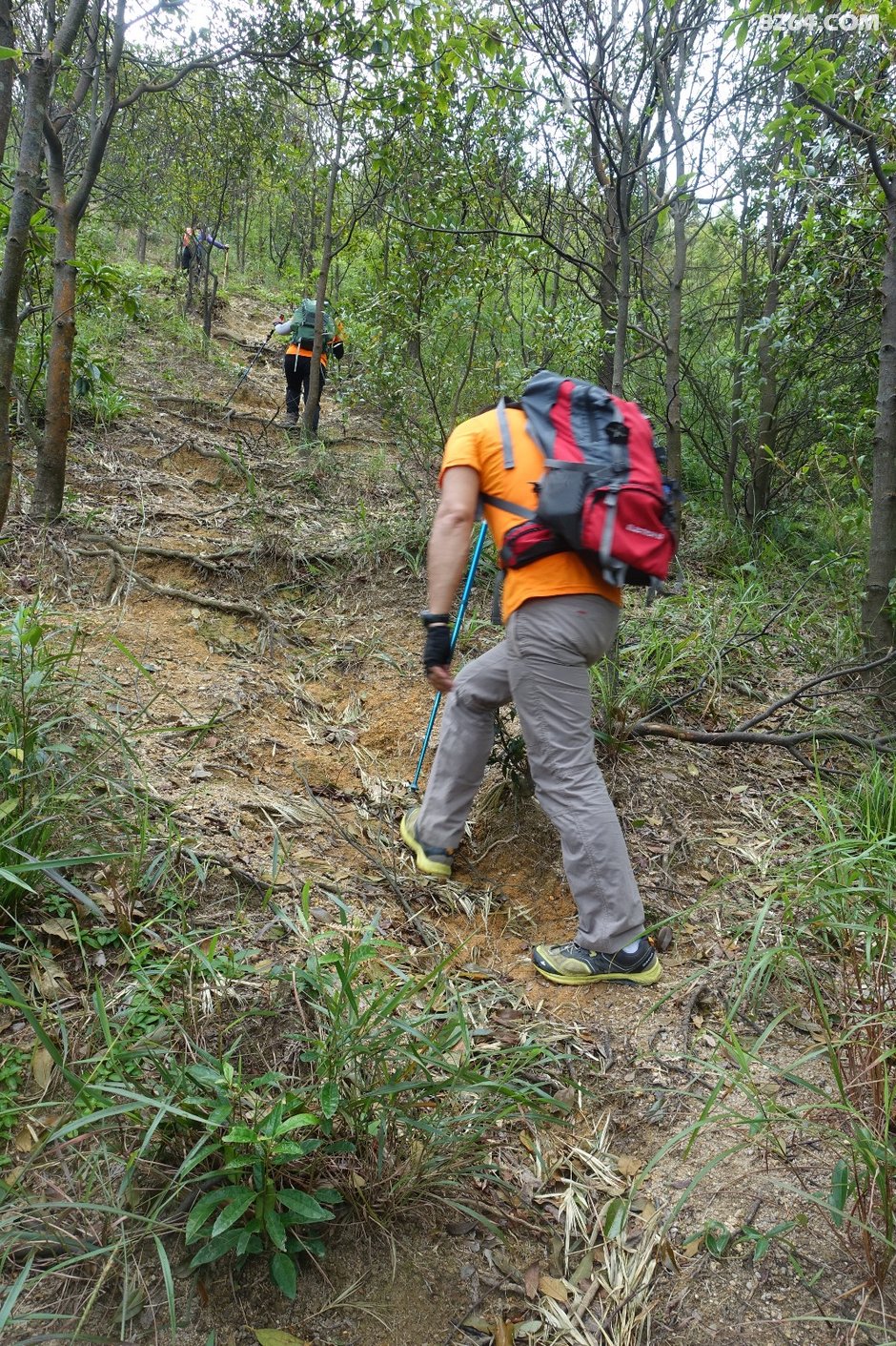 20180923:台风山竹过后第一周,五桂山拉练赏