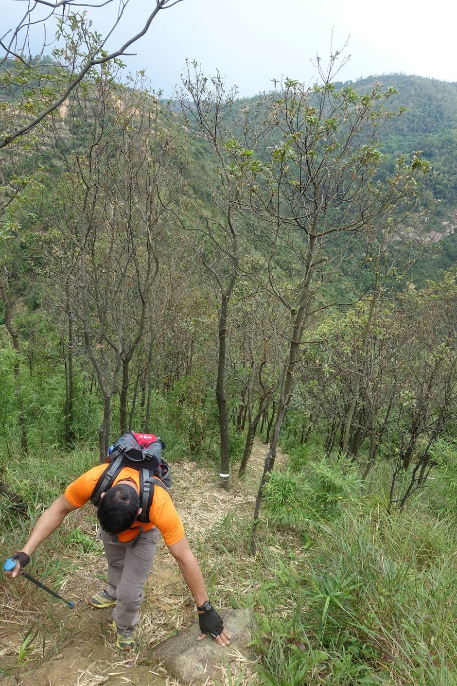 20180923:台风山竹过后第一周,五桂山拉练赏
