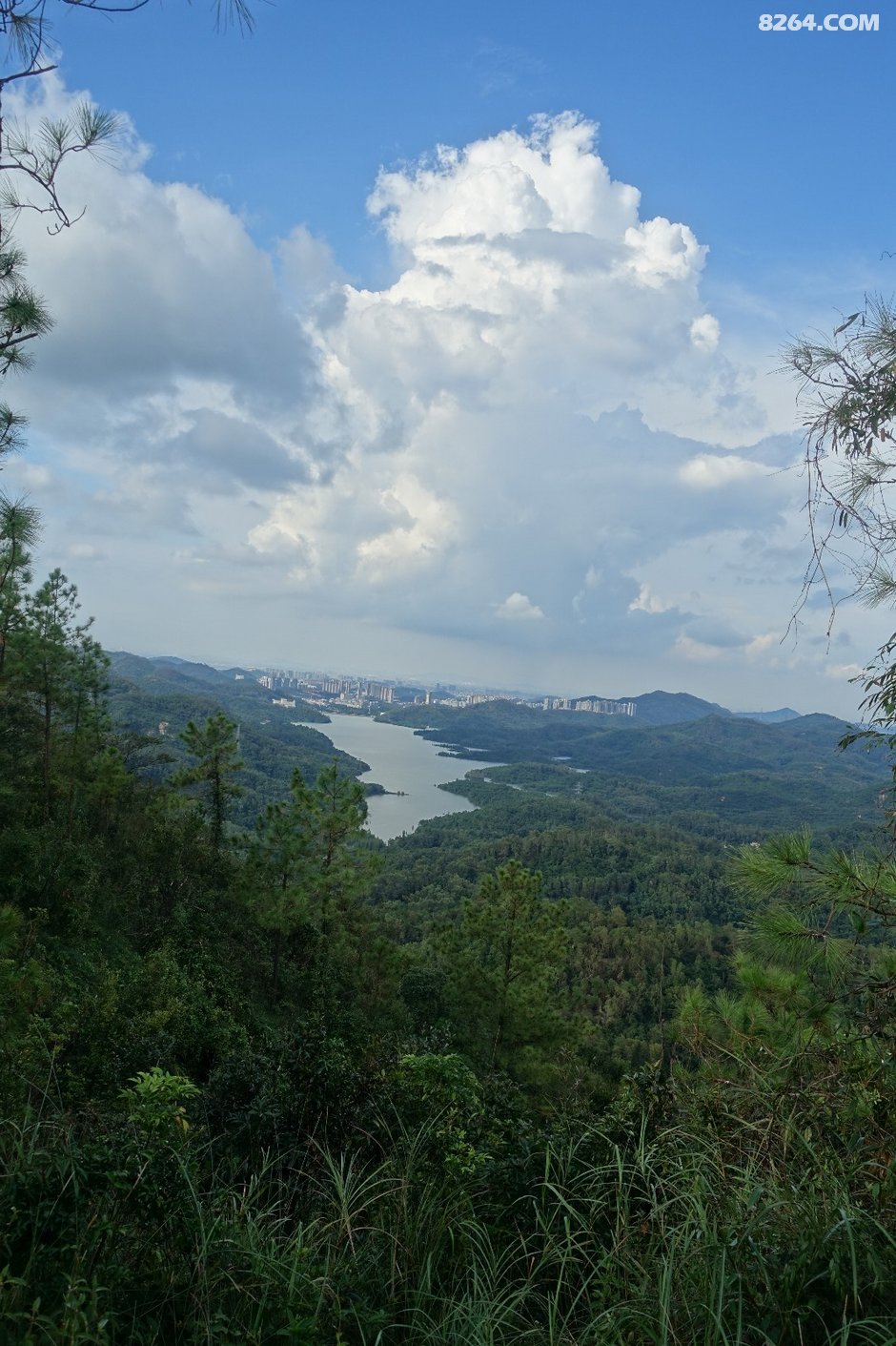 20180923:台风山竹过后第一周,五桂山拉练赏