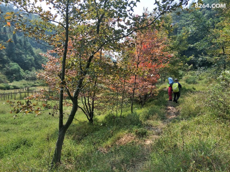 长沙中老年人周末郊游线路等高线图集