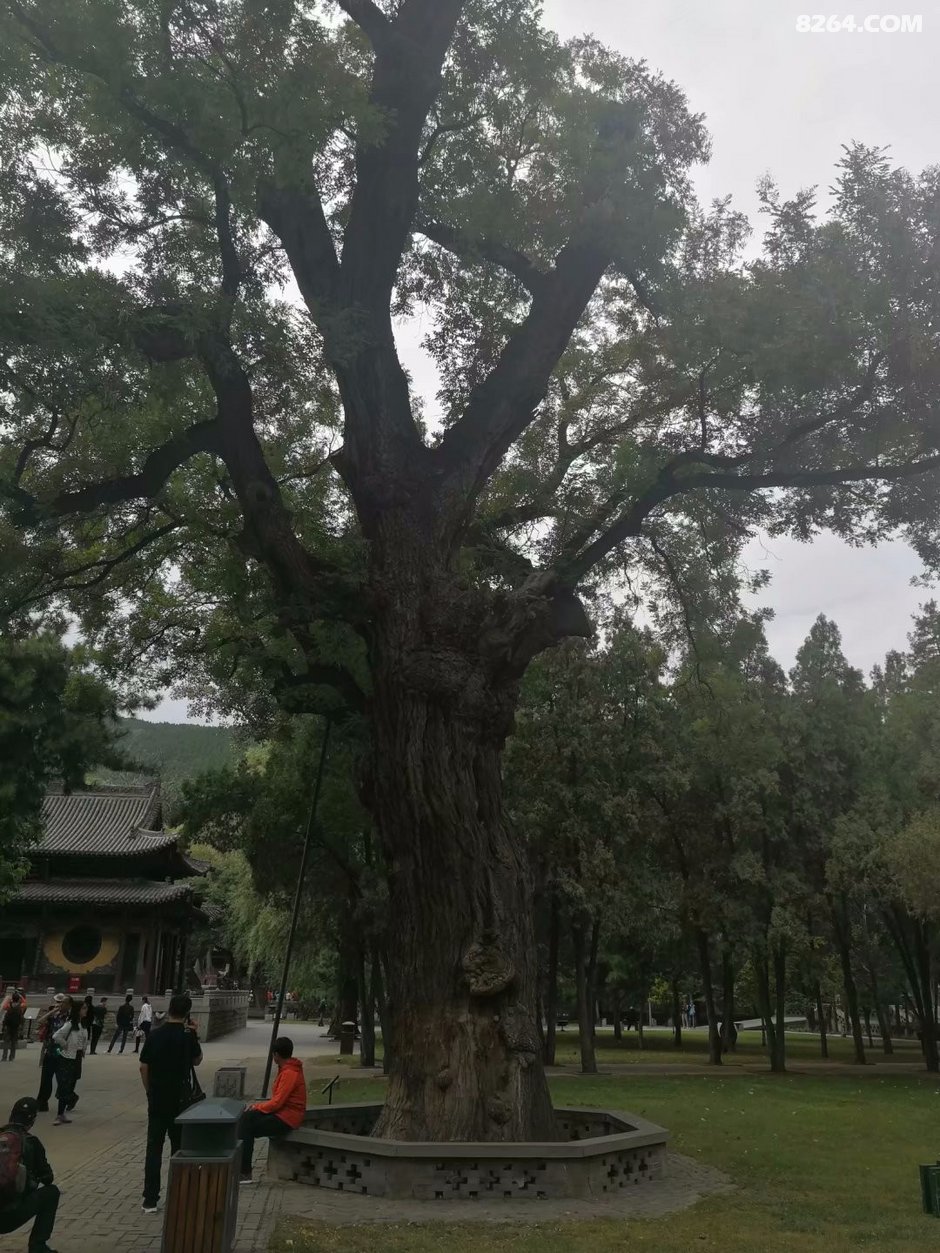 水镜什么成语_成语故事简笔画(3)