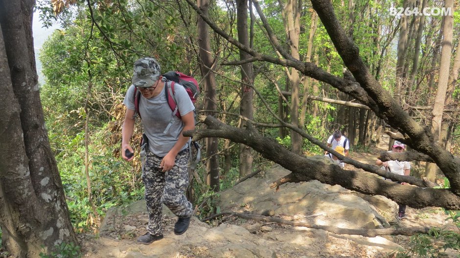 长沙中老年人周末郊游线路等高线图集