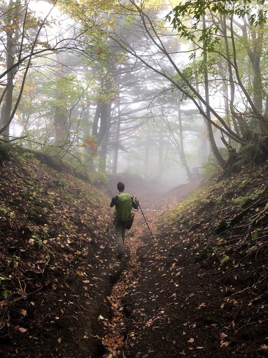 富士山下雪了,突然就决定去看看
