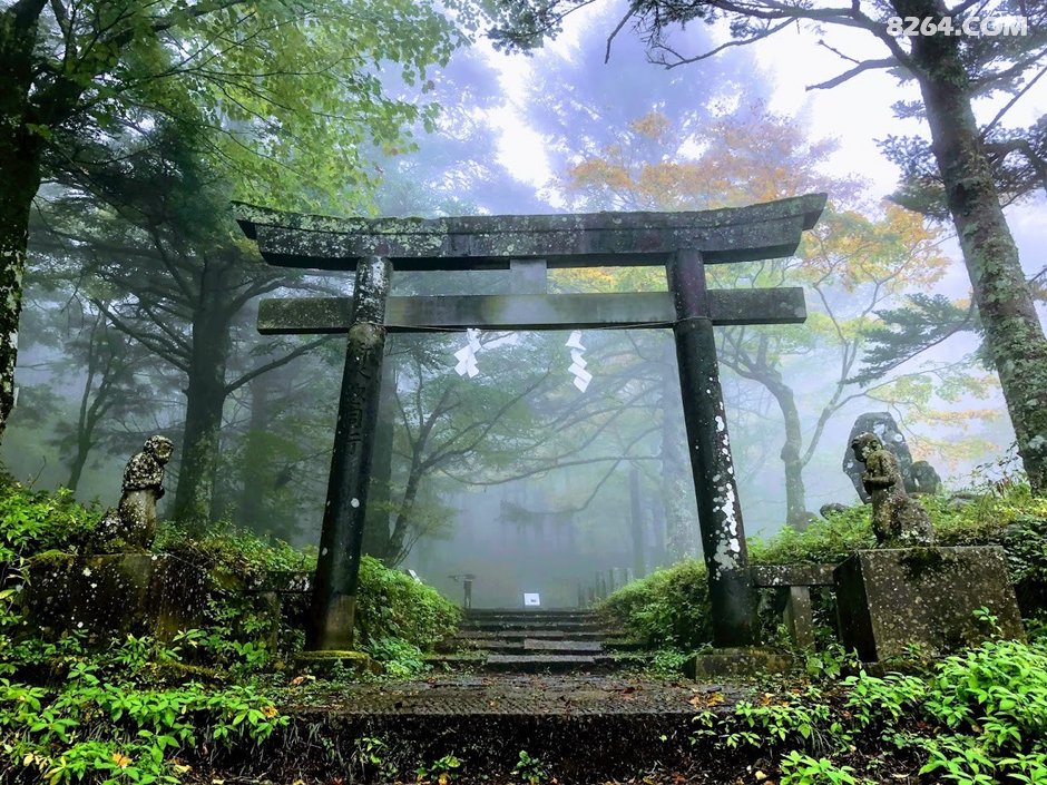 富士山下雪了,突然就决定去看看