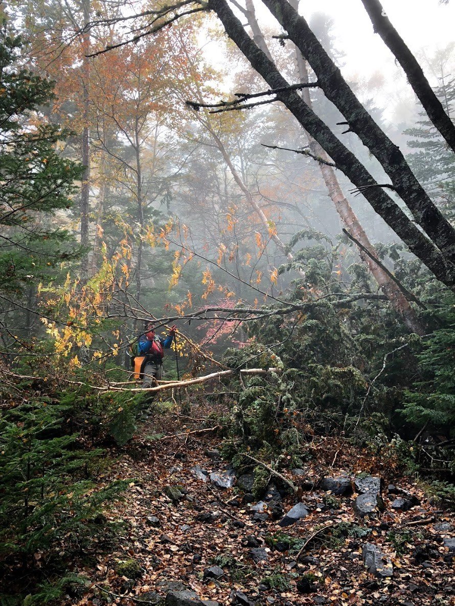 富士山下雪了,突然就决定去看看
