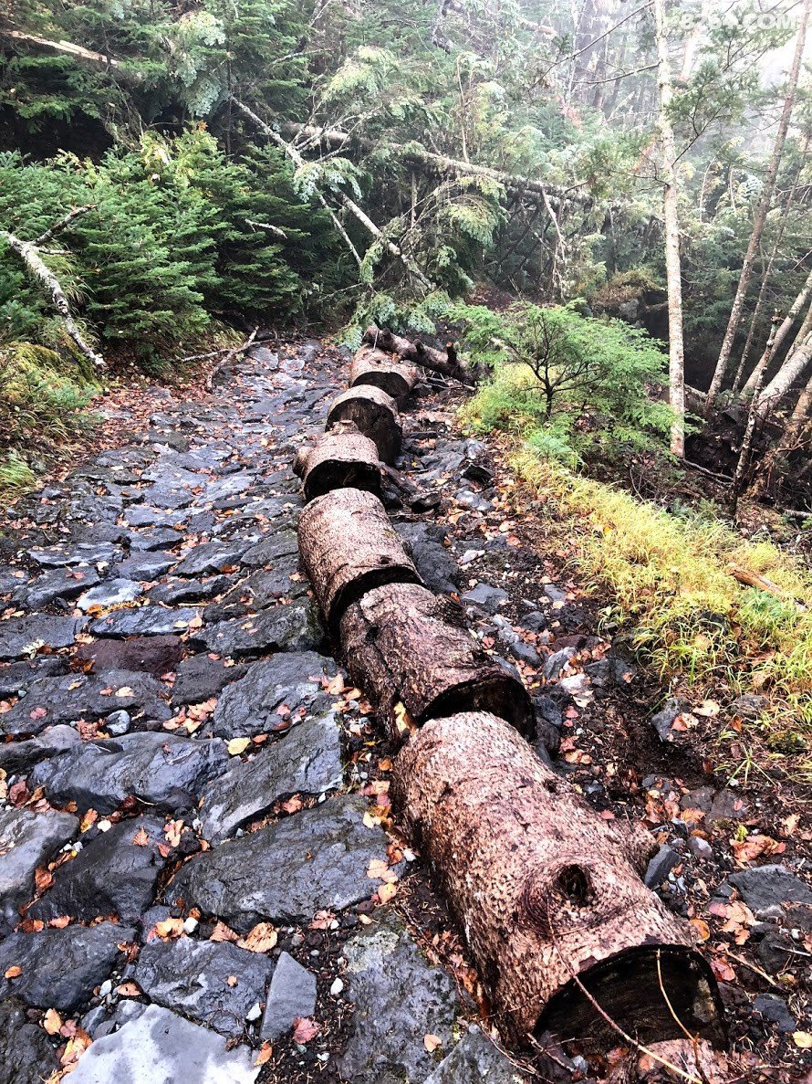 富士山下雪了,突然就决定去看看