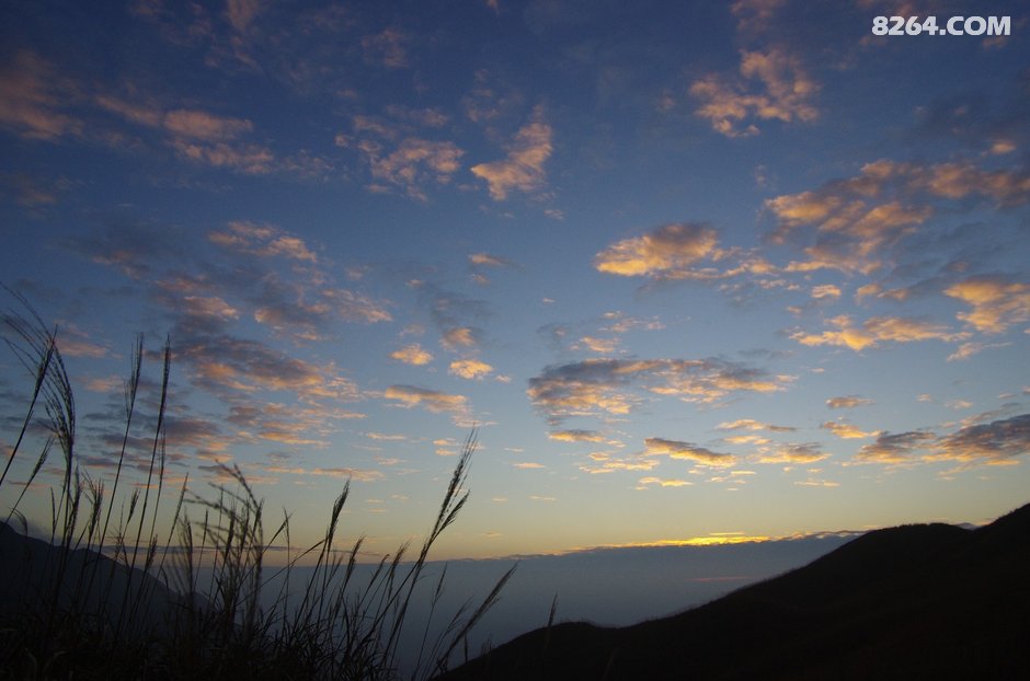 可怜我岭南,母猪赛貂蝉~\(^o^)\/~--惠州大南山,广