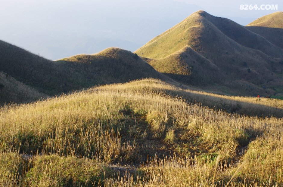 可怜我岭南,母猪赛貂蝉~\(^o^)\/~--惠州大南山,广
