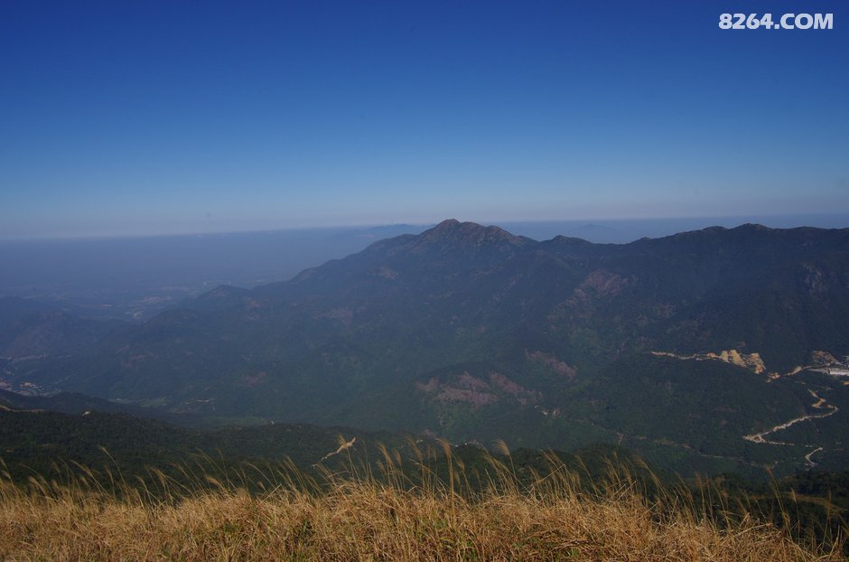 可怜我岭南,母猪赛貂蝉~\(^o^)\/~--惠州大南山,广