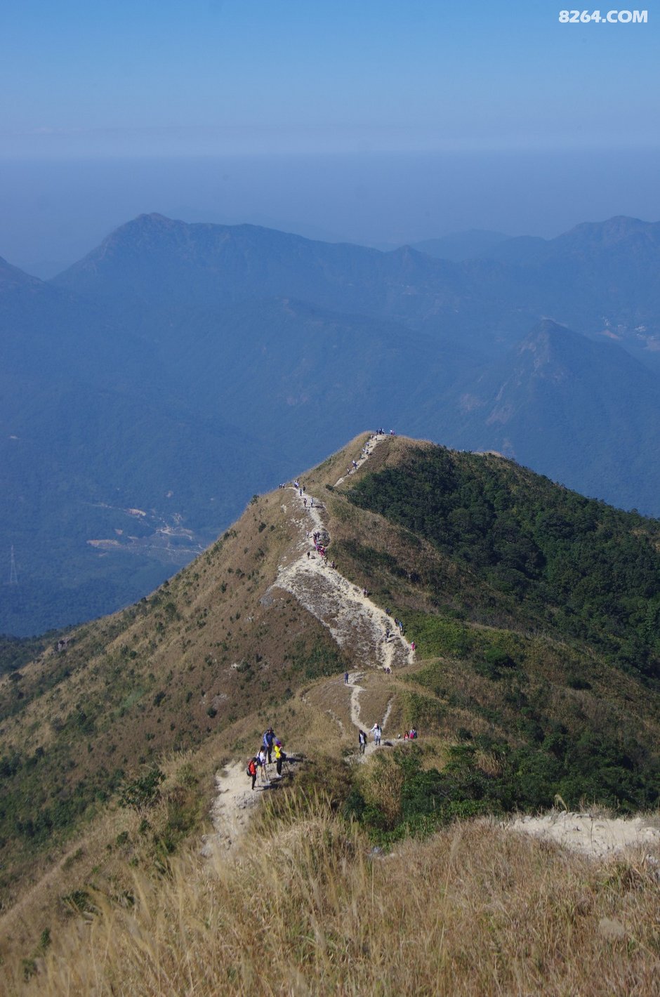 可怜我岭南,母猪赛貂蝉~\(^o^)\/~--惠州大南山,广