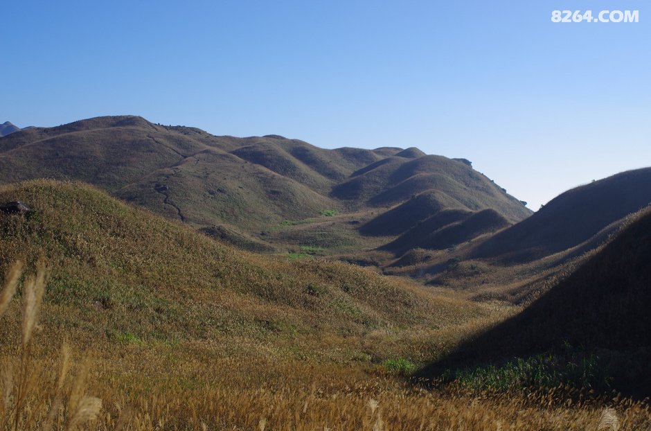 可怜我岭南,母猪赛貂蝉~\(^o^)\/~--惠州大南山,广
