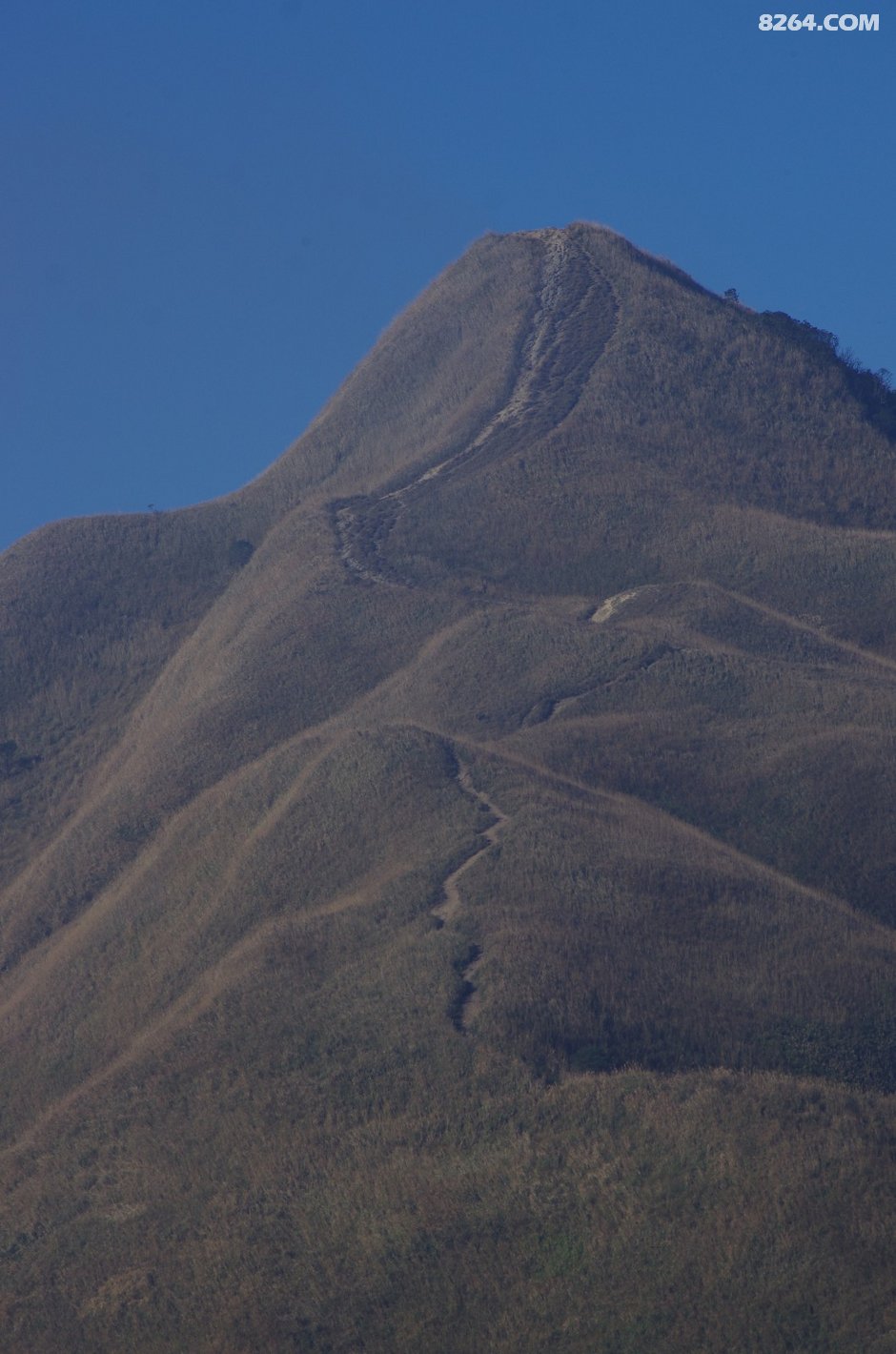 可怜我岭南,母猪赛貂蝉~\(^o^)\/~--惠州大南山,广