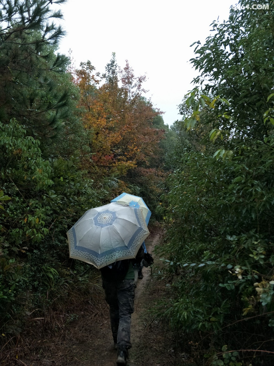 长沙中老年人周末郊游线路等高线图集