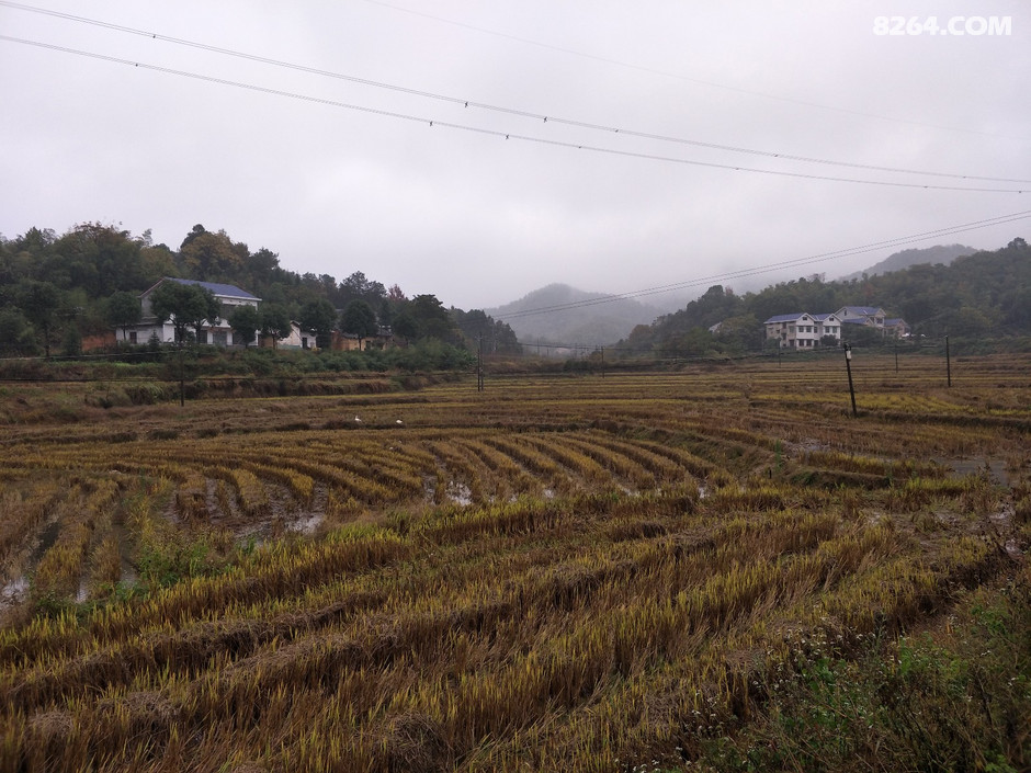 长沙中老年人周末郊游线路等高线图集