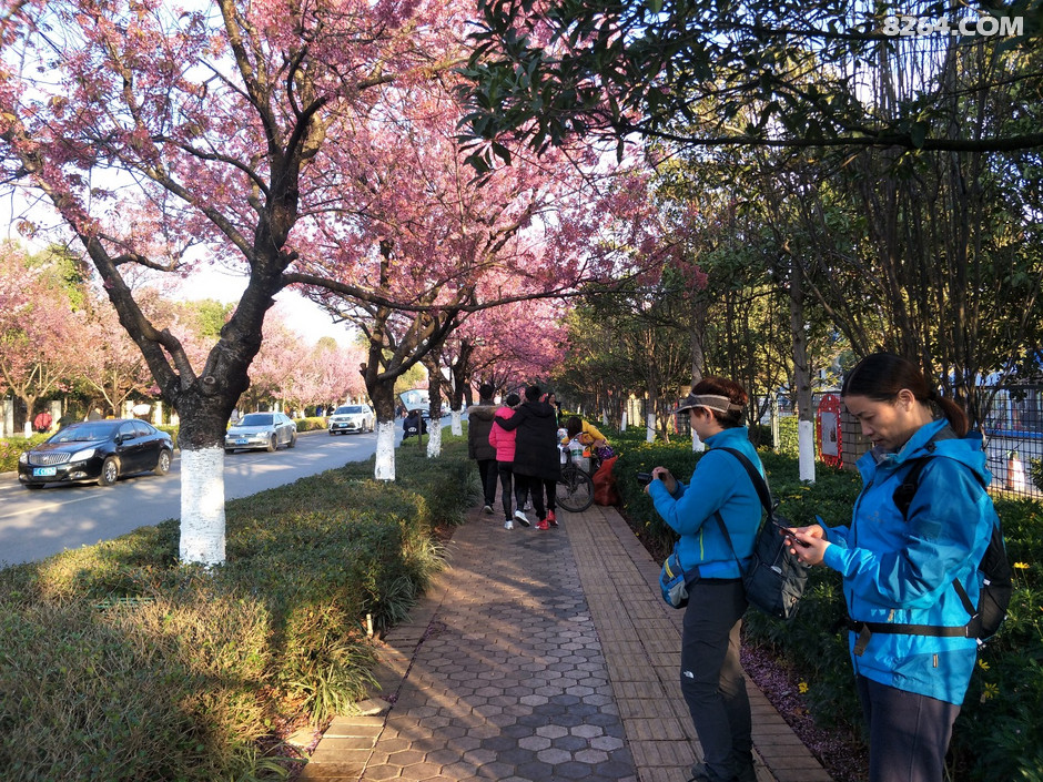 长沙中老年人周末郊游线路等高线图集