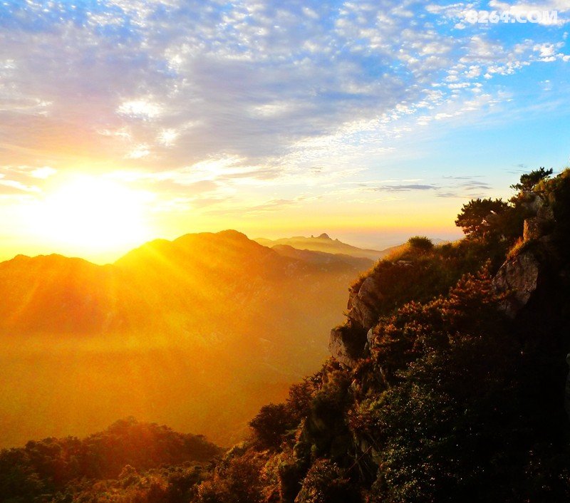 关爱蒙山,保护家园--第一届蒙山户外运动论坛花