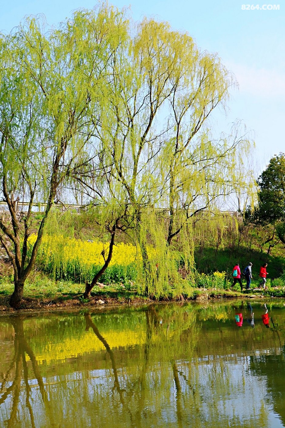 沐浴春风里~穿越空青武岐山