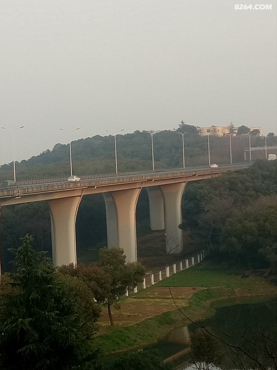 江阴人均gdp上海_上海香港人均gdp对比(3)