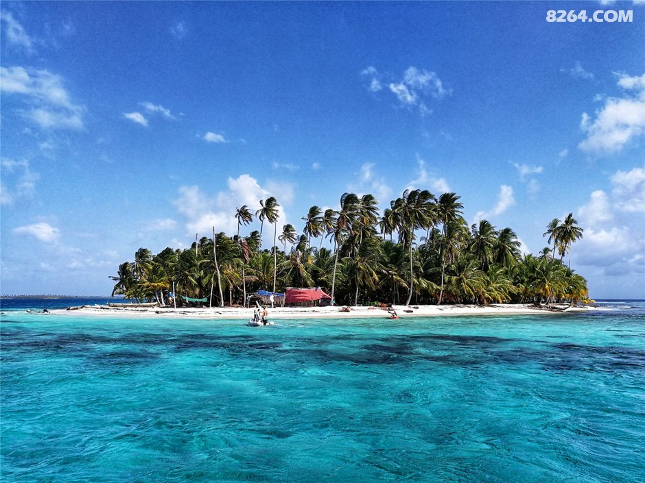 加勒比海帆船之旅||D4 圣布拉斯的海底世界