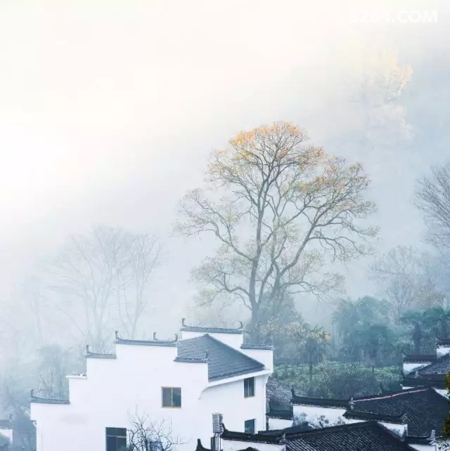 周末婺源(火车团) | 篁岭晒秋-石城-长溪村徒步,行摄最美乡村 周末婺源(火车团) | 篁岭晒秋-石城-长溪村徒步,行摄最美乡村