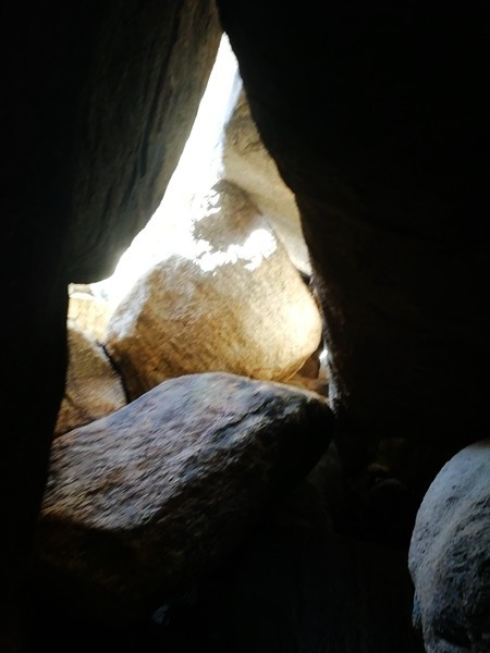 中央企业时代先锋----房立群