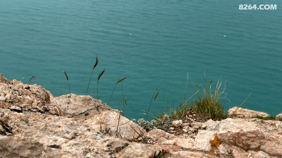 2023110218130973067.jpeg!t3w825h0