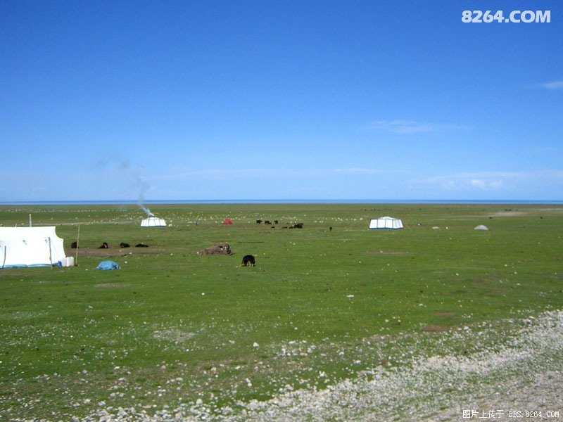 [5万字痞子游记]900块8天玩转青海湖甘南(2年