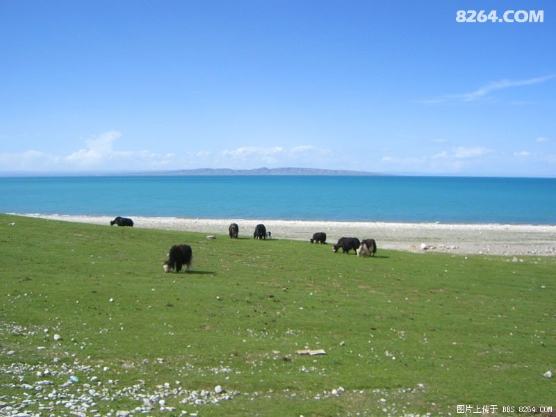 [5万字痞子游记]900块8天玩转青海湖甘南(2年