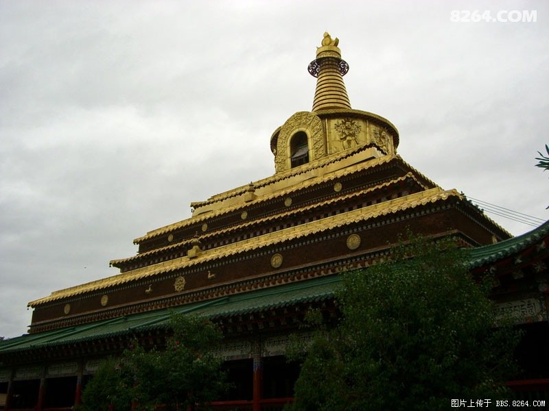 [5万字痞子游记]900块8天玩转青海湖甘南(2年