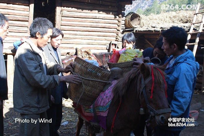 山村迎亲人简谱_山里迎亲人笛子简谱(2)