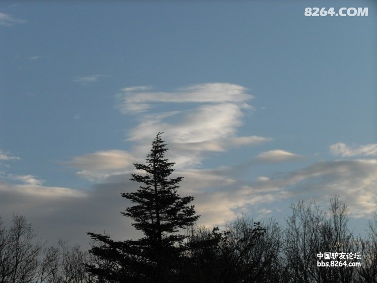 0906051317bef3faabfb671cc1.jpg!t3w825h0