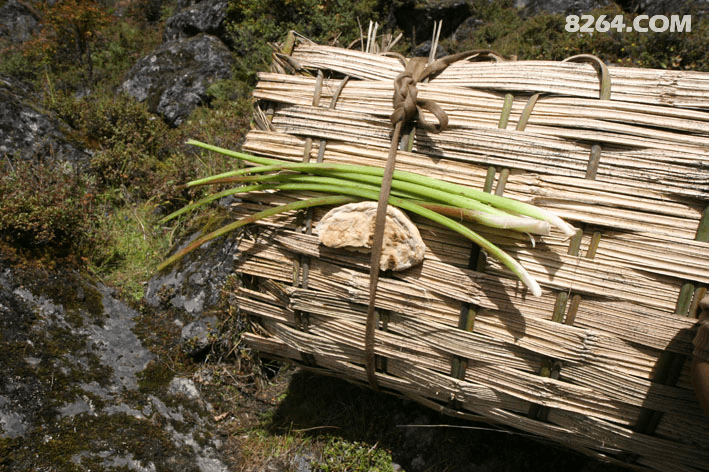 故乡酒他乡愁曲谱图片