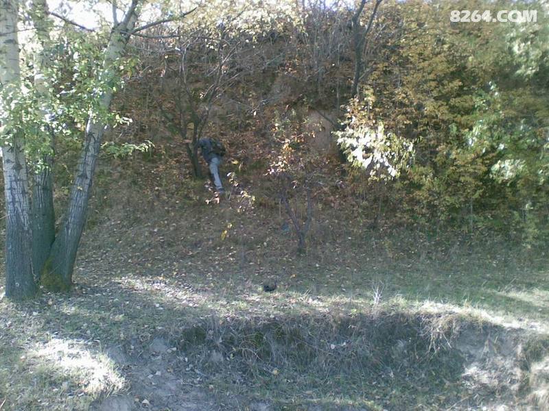 野外生存视频荒野求生国内 10012414365862ba80d07431f2.jpg!t3w825h0