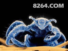 1006072037d71b52997929746d.jpg!t3w825h0