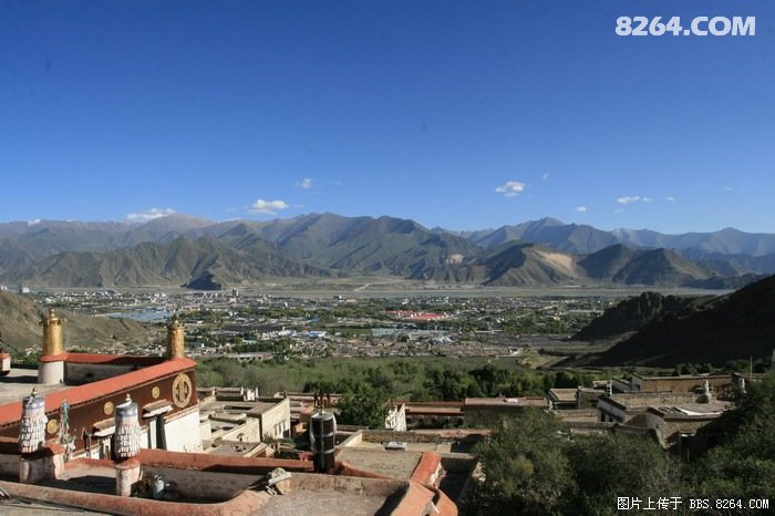 到西藏踩牛屎去