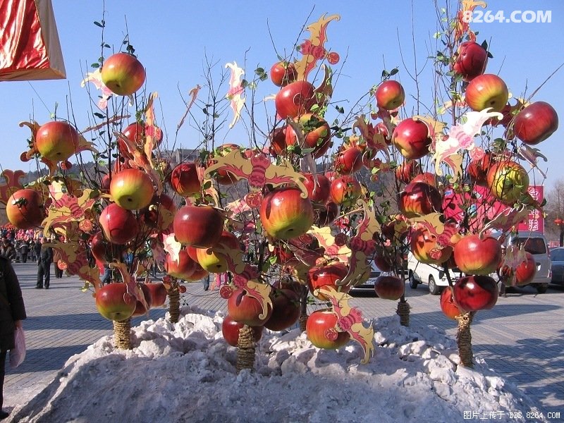 回归驴友论坛 东北特色的吉林省吉林市北山新