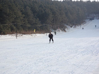 铁岭南山滑雪场地址|电话|价格|营业时间
