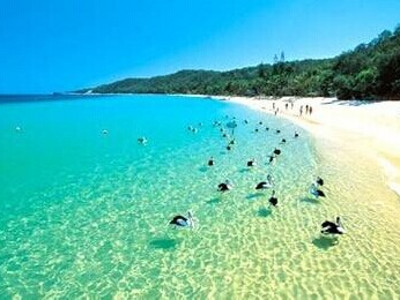 澳大利亚布里斯班费林德斯礁潜水点官网|地址