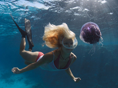 泰国Sail Rock 航行石潜水点电话地址价格介绍